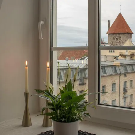 Lecool Viru Tallinn